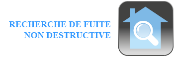 Recherche de fuite non destructive